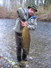 Chinook Alberto