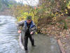 Chum femmina Puntledge River