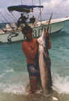 Marlin
