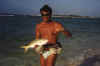 Yellow Tail